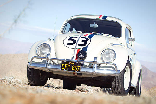 63-beetle