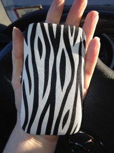 manicure kit photo 2