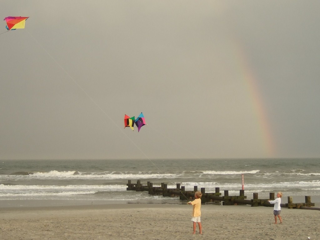 kites on the beach
