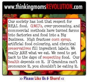 TMR Meme Template fruit