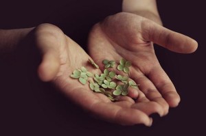 luvbughandswithclovers