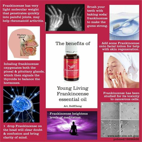 frankincense eo
