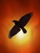 Image courtesy of Victor Habbick at FreeDigitalPhotos.net