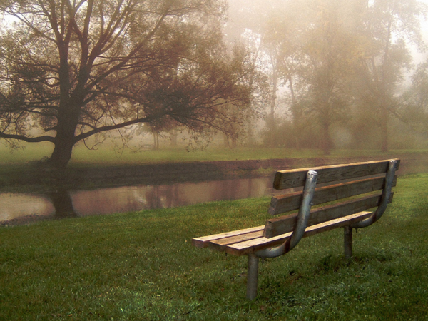 Park Bench-resized-600