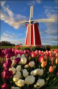 Windmill