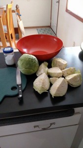 sauerkraut3