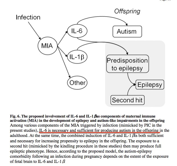 IL-6, IL-1B AUTISM EPILEPSY