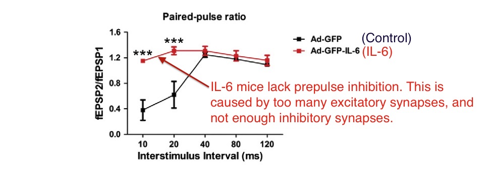 Wei IL6 prepulse inhibition